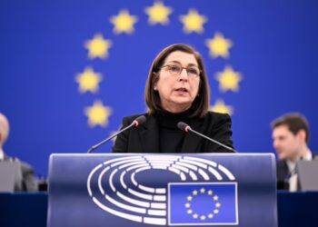 Dibattito al Parlamento Europeo di Strasburgo ICE - Stati Uniti