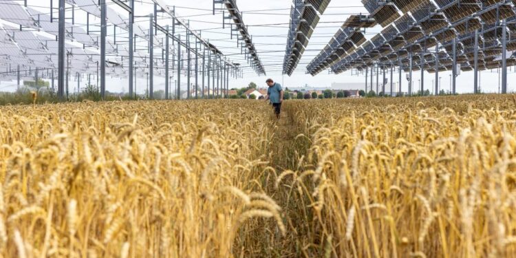 Fonte: Servizio Audio-visivo della Commissione Europea CE - Service audiovisuel Photographer: Nicolas Kovarik - Agricoltori