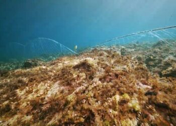 Credits: Esfera Cubica_Produkcija 42'53''_Claudia Amico_Pomona Pictures