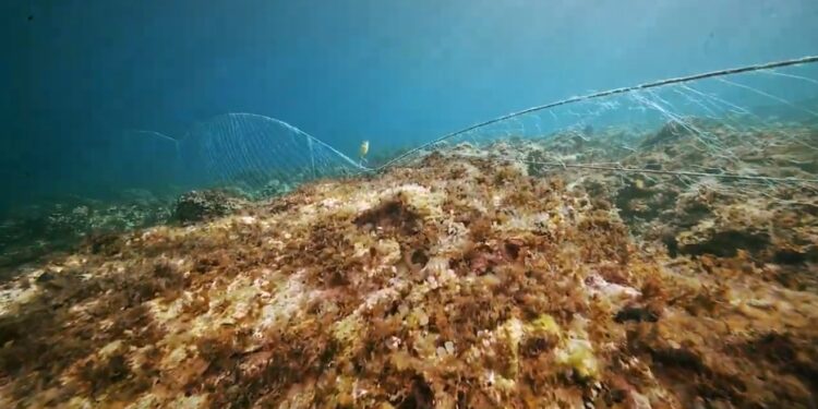 Credits: Esfera Cubica_Produkcija 42'53''_Claudia Amico_Pomona Pictures