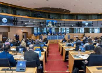 Malattie Rare, Parlamento UE, PANS e PANDAS