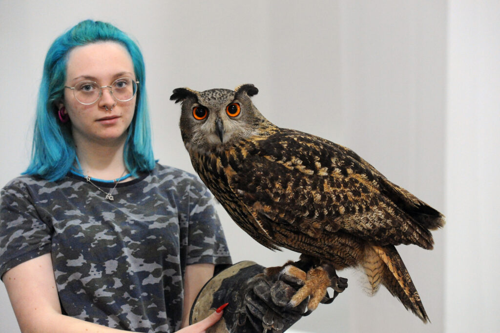 Lagarde and the Owl of Minerva