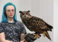 NUOVA FIERA DEL LEVANTE EXPOLEVANTE SPETTACOLO FALCONERIA CIVETTA
