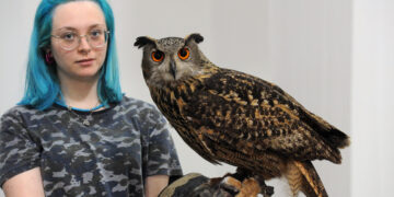 NUOVA FIERA DEL LEVANTE EXPOLEVANTE SPETTACOLO FALCONERIA CIVETTA