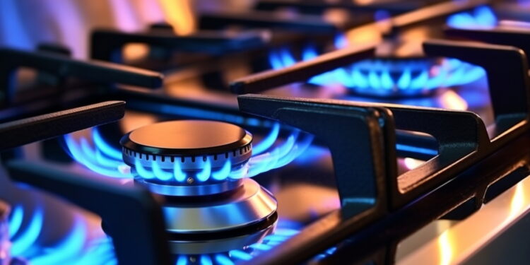 Fornello a gas (Fonte: Imagoeconomica)