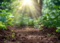 Concimi naturali via Iamgoeconomica