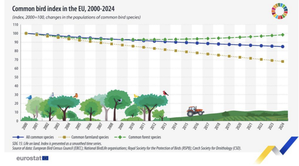 Indice delle specie di uccelli più comuni nell'UE, 2000-2024. Fonte: Eurostat