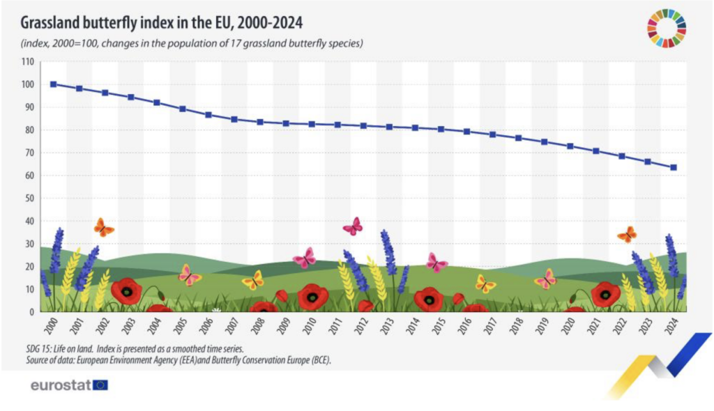 Grassland butterfly index in the EU, 2000-2024. Fonte: Eurostat
