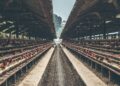 Foto di Artem Beliaikin su Unsplash