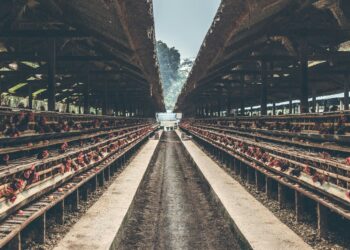 Foto di Artem Beliaikin su Unsplash