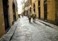 Anziani per le vie di Siena. Fonte: Photo de Jan Stonesur Unsplash