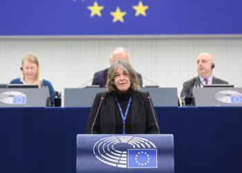 Cecilia Strada al Parlamento europeo