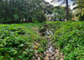 Ruscello d'acqua. Crediti: Commissione europea