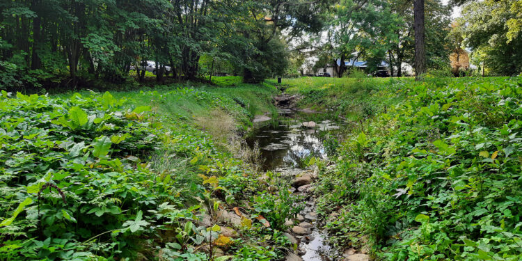 Ruscello d'acqua. Crediti: Commissione europea