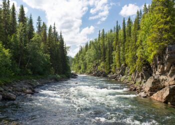 Gäddede, Sweden. [Foto: unsplash] risorse idriche, CO2