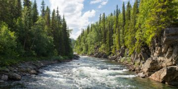 Gäddede, Sweden. [Foto: unsplash] risorse idriche, CO2