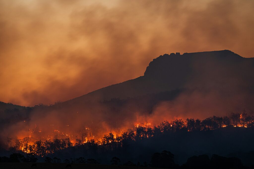 Scientists insist: Europe’s heatwave is caused by climate change