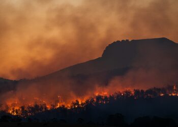 ondata di calore
