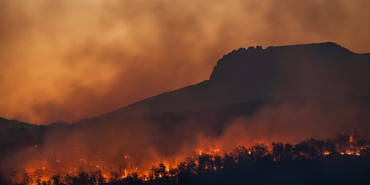ondata di calore