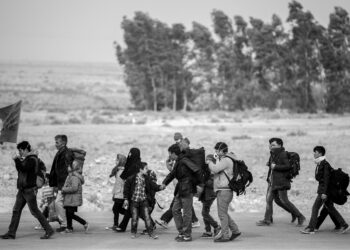 Fonte: Unsplash