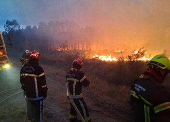 Incendi in Francia. Spurce: Imagoeconomica