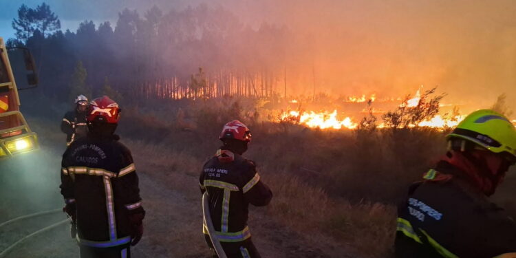 Incendi in Francia. Spurce: Imagoeconomica