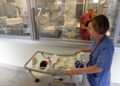 Ospedale San Giuseppe di Milano, reparto maternità [foto: Sergio Oliveiro/imagoeconomica]