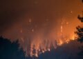 Incendi - Gironda - UE - solidarietà - prevenzione