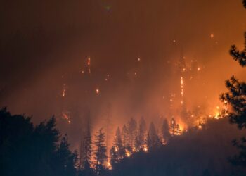 Incendi - Gironda - UE - solidarietà - prevenzione