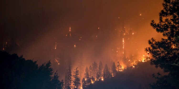 Incendi - Gironda - UE - solidarietà - prevenzione