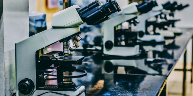 Innovazione - laboratori - imprese - UE