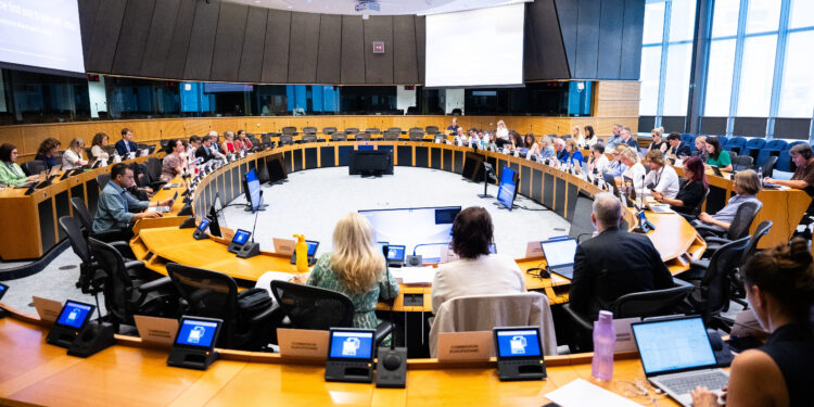 Riunione della Commissione LIBE. Crediti: Parlamento europeo