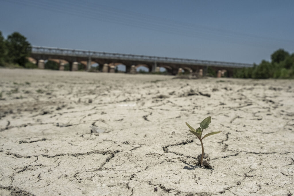Caldo, l’UE: “Forniture di energia stabili, non c’è motivo di preoccuparsi”