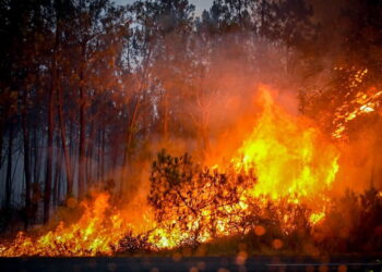 Incendio boschivo in Francia [Bordeaux, 25 luglio 2026. Foto: Marion Fourniès / FNSPF, via imagoeconomica]