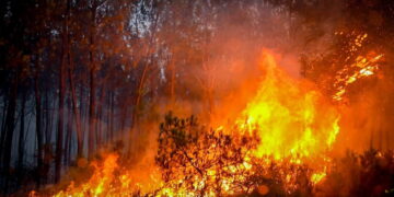 Incendio boschivo in Francia [Bordeaux, 25 luglio 2026. Foto: Marion Fourniès / FNSPF, via imagoeconomica]