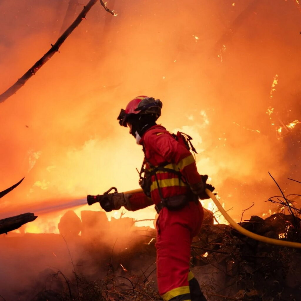 Heat and wildfires: the EU’s severe season shows no sign of abating, with Belgium also ablaze and two deaths in Greece