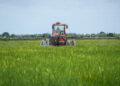 Trattore in un campo di riso. Crediti: Commissione europea