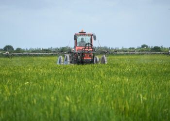 Trattore in un campo di riso. Crediti: Commissione europea
