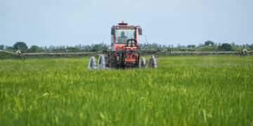 Trattore in un campo di riso. Crediti: Commissione europea