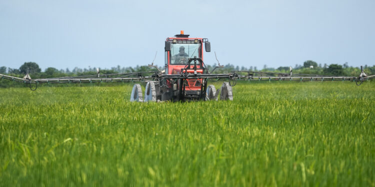 Trattore in un campo di riso. Crediti: Commissione europea
