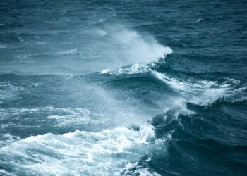 Temperature oceani record secondo Copernicus