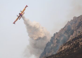 Canadair in azione. Source: Imagoeconomica via Alberto Lo Bianco
