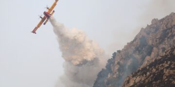 Canadair in azione. Source: Imagoeconomica via Alberto Lo Bianco
