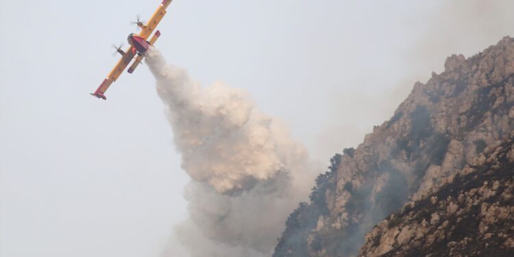 Canadair in azione. Source: Imagoeconomica via Alberto Lo Bianco