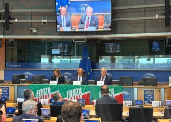 Berlusconi - Tajani, Metsola, De Meo