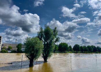 Alluvioni in Germania nel 2024. Photo de Bernd Dittrichsur Unsplash