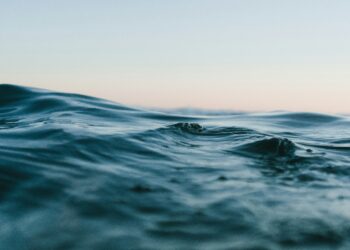 Oceani. Crediti: Matt Hardy via Unsplash