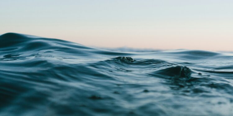 Oceani. Crediti: Matt Hardy via Unsplash