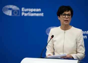 Marta Kos, Allargamento