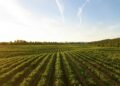 Agricoltori. Crediti: Dan Meyers via Unsplash